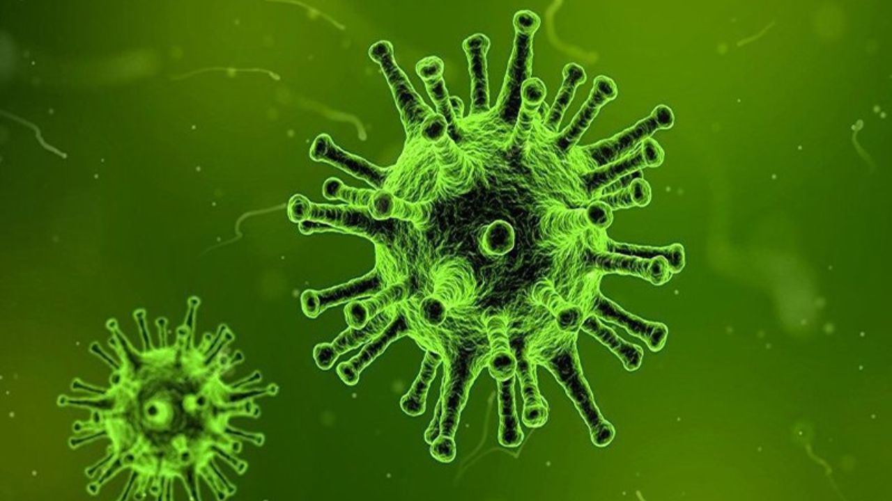 Nguyên nhân chính gây ra sẹo do virus Varicella